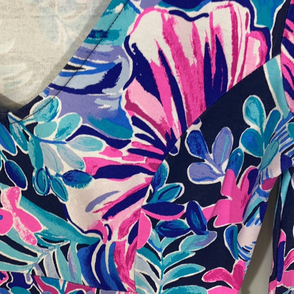 Lily Pulitzer Raina Dress - Picture 3 of 12